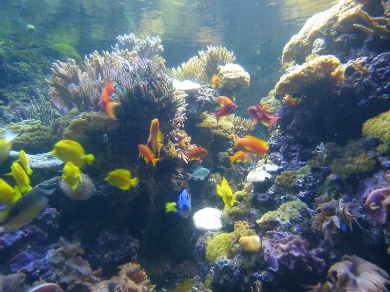 Click to See Next Image