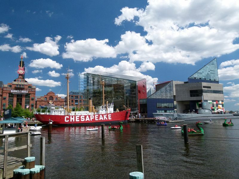 Click to See Next Image