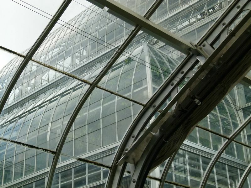 Click to See Next Image