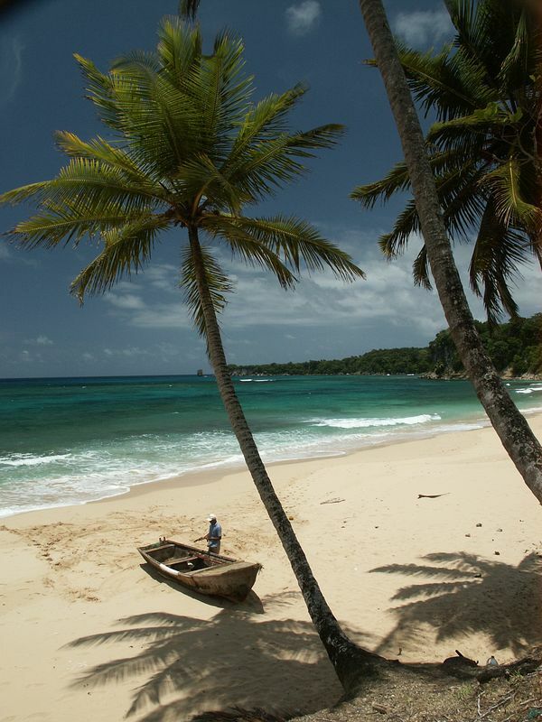 Click to See Next Image