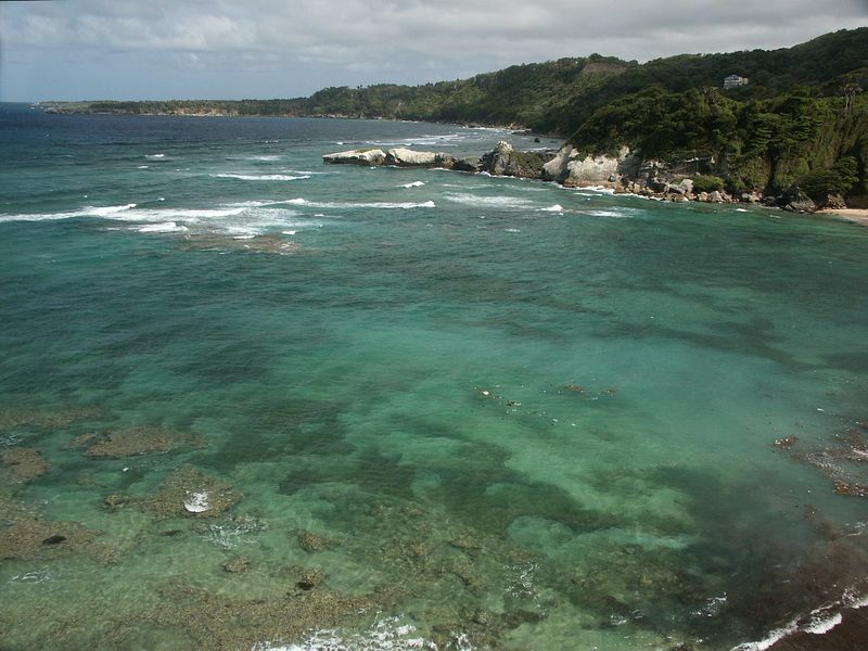 Click to See Next Image