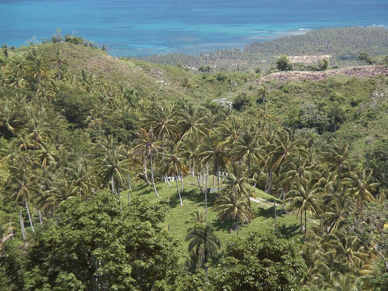 Click to See Next Image