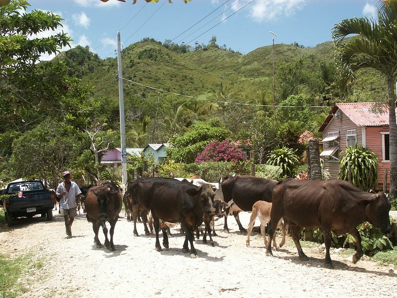 Click to See Next Image