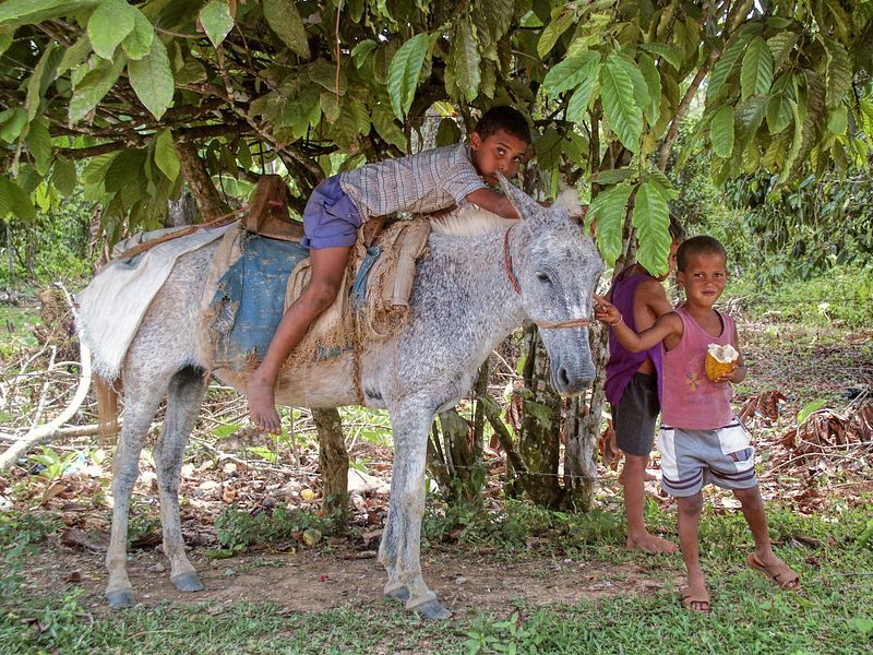 Click to See Next Image