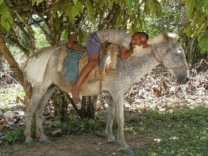 Click to See Next Image