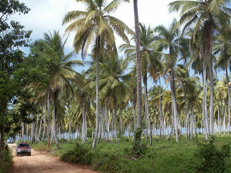 Click to See Next Image