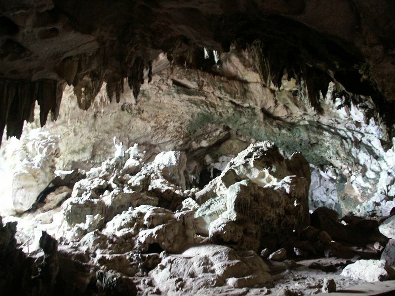 Click to See Next Image