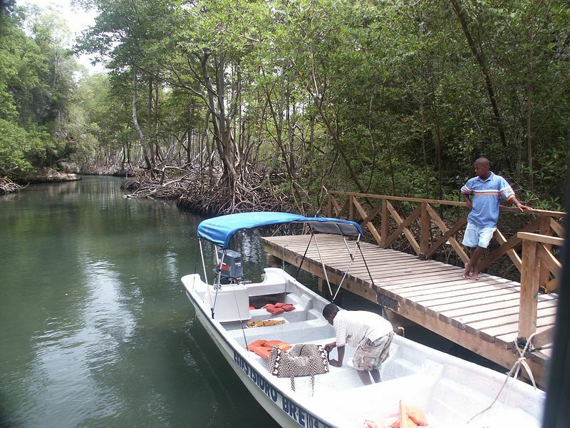 Click to See Next Image