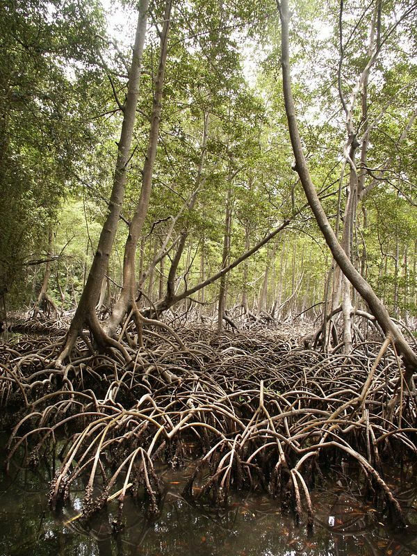 Click to See Next Image