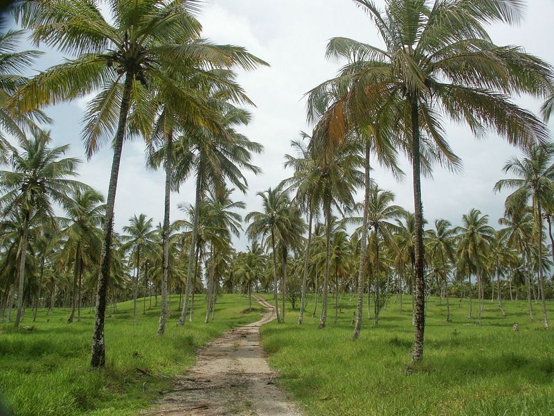 Click to See Next Image