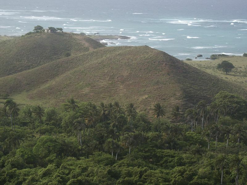 Click to See Next Image