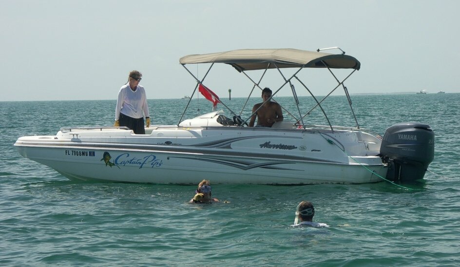 Click to See Next Image