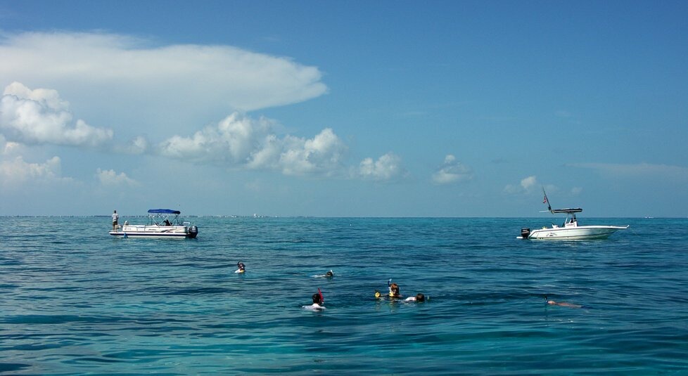 Click to See Next Image