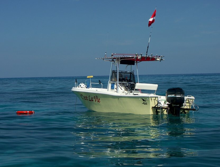 Click to See Next Image