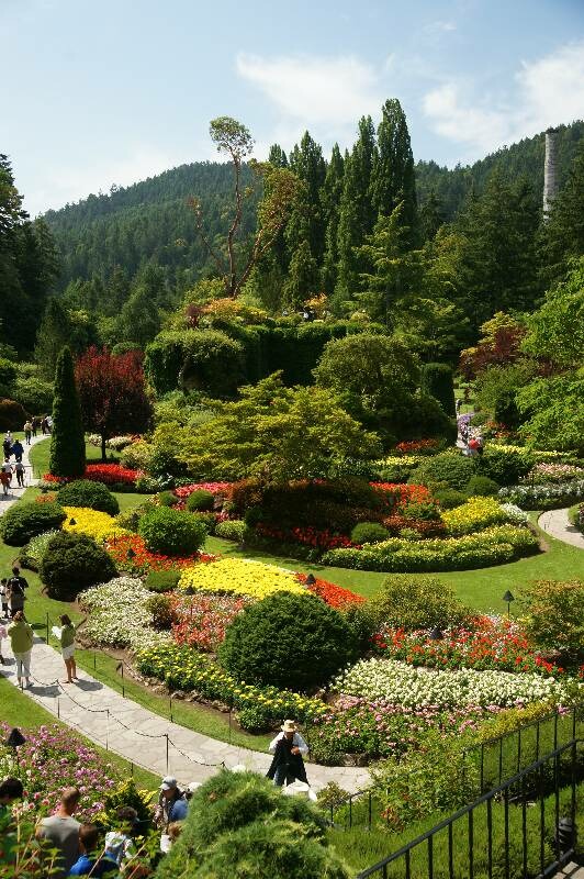 Click to See Next Image