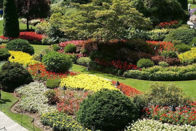 Click to See Next Image