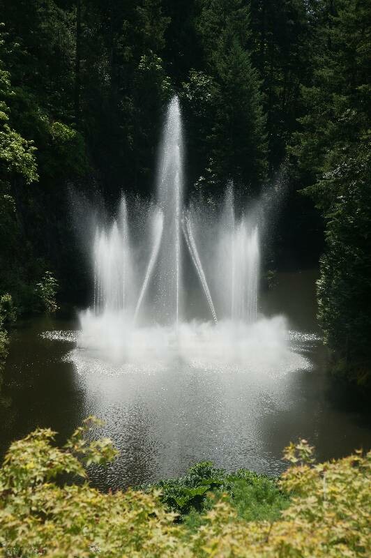 Click to See Next Image