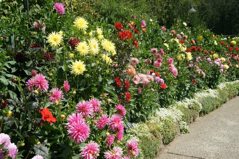 Click to See Next Image