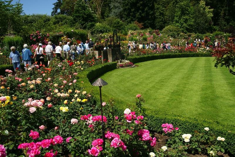 Click to See Next Image