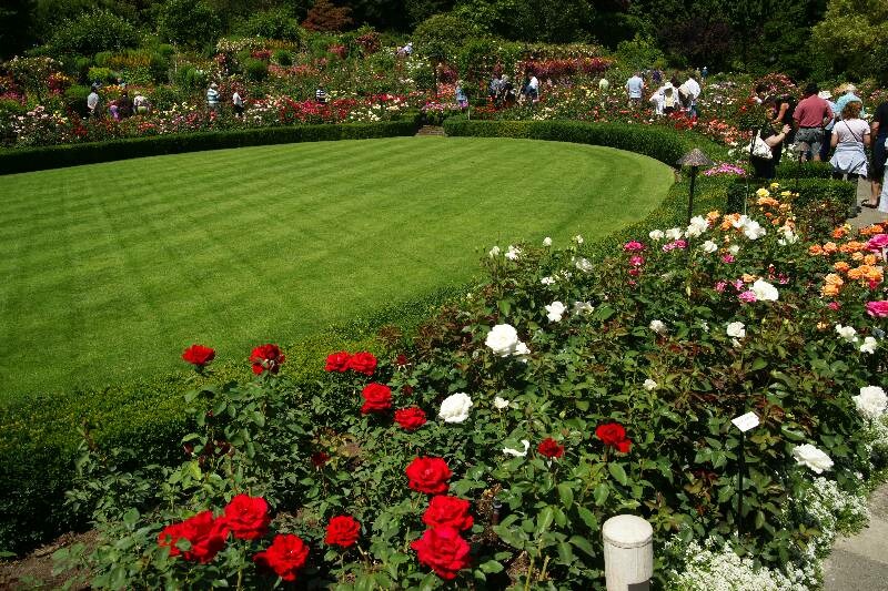 Click to See Next Image