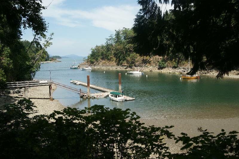 Click to See Next Image