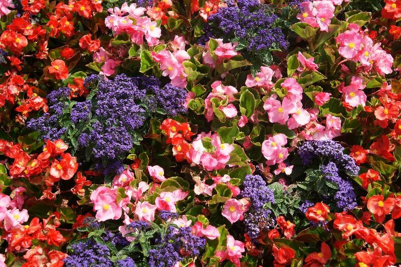 Click to See Next Image