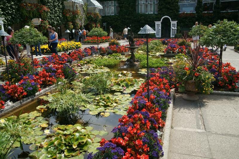 Click to See Next Image