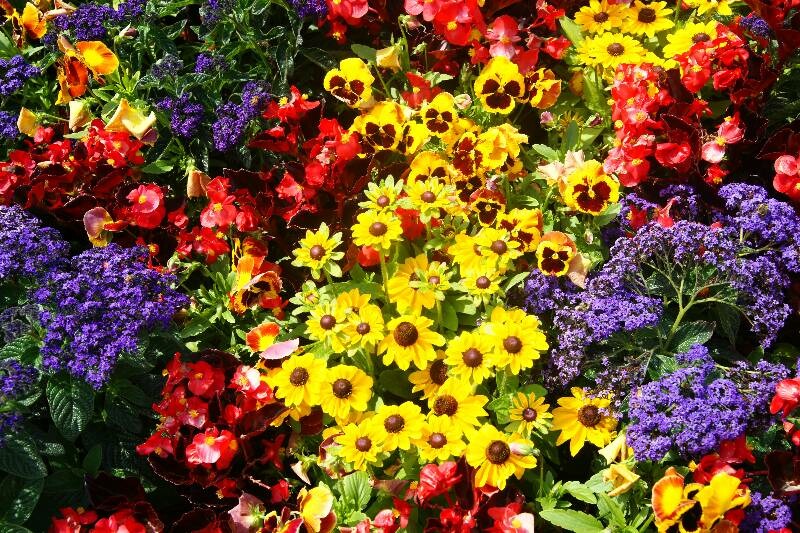 Click to See Next Image