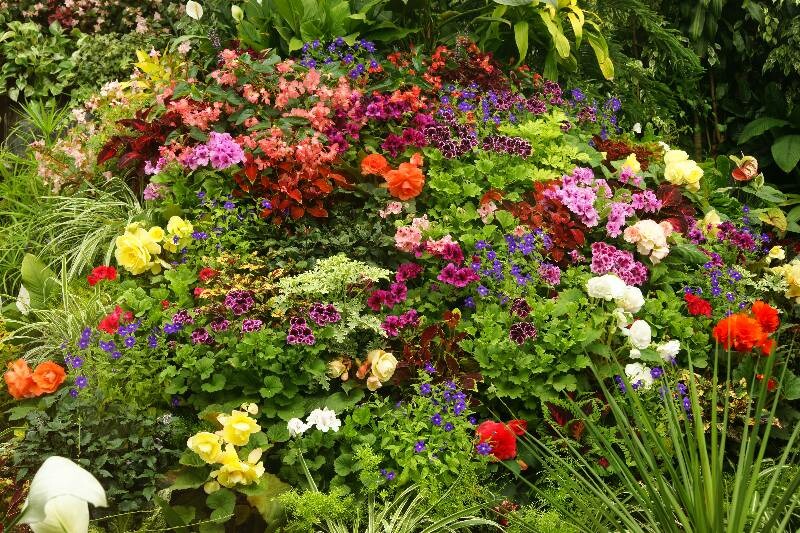 Click to See Next Image