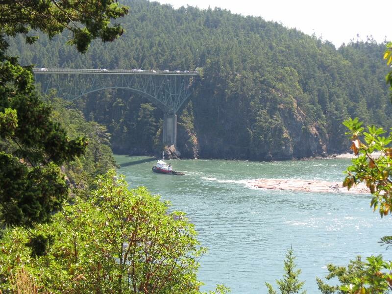 Click to See Next Image