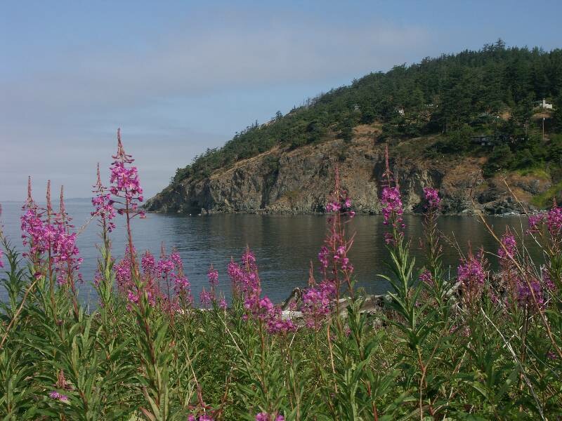 Click to See Next Image