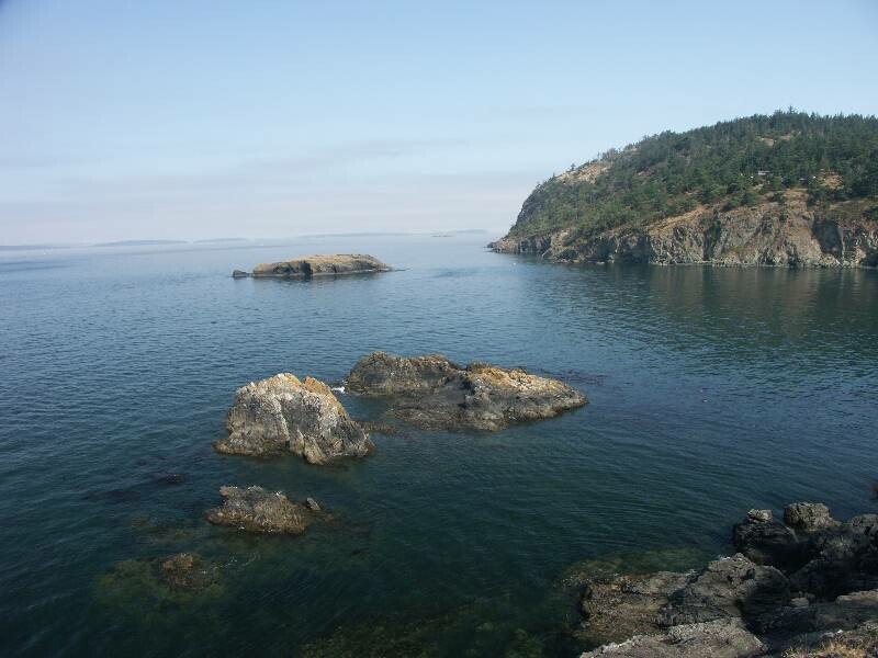 Click to See Next Image