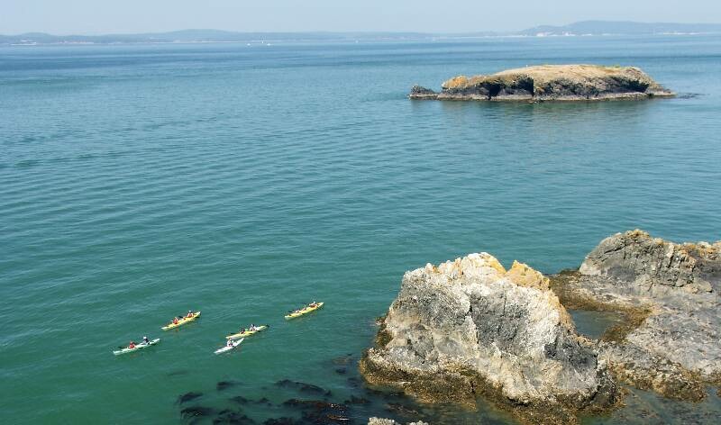 Click to See Next Image