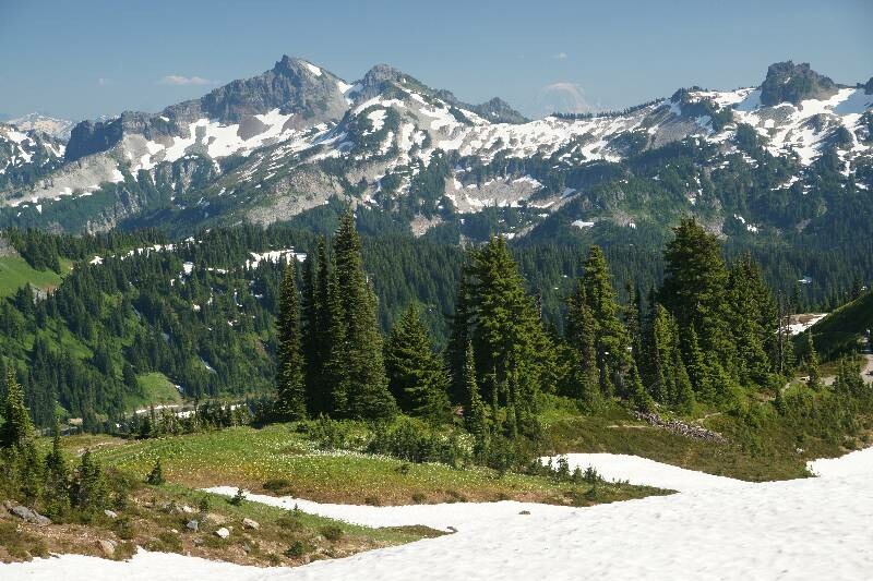 Click to See Next Image