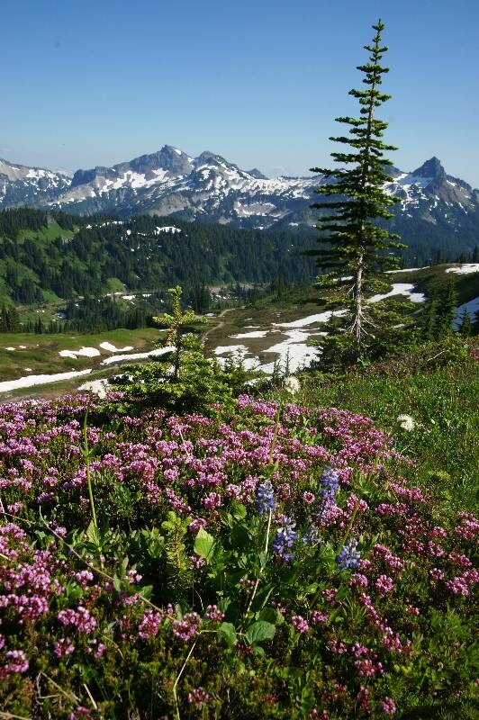 Click to See Next Image