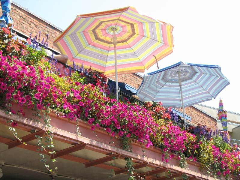 Click to See Next Image