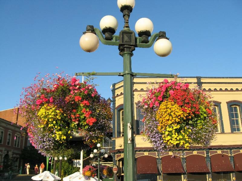 Click to See Next Image