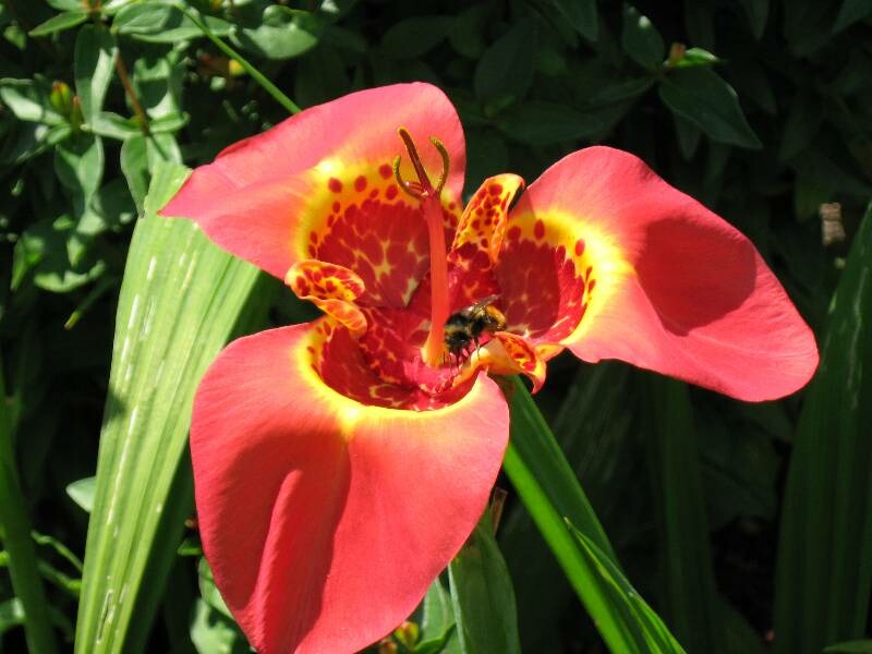 Click to See Next Image