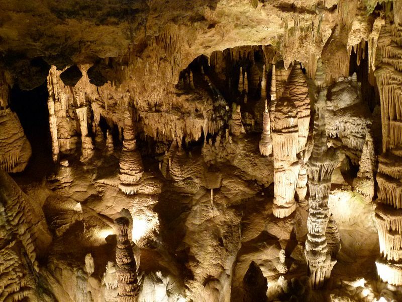 Click to See Next Image