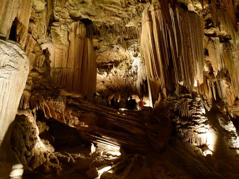 Click to See Next Image