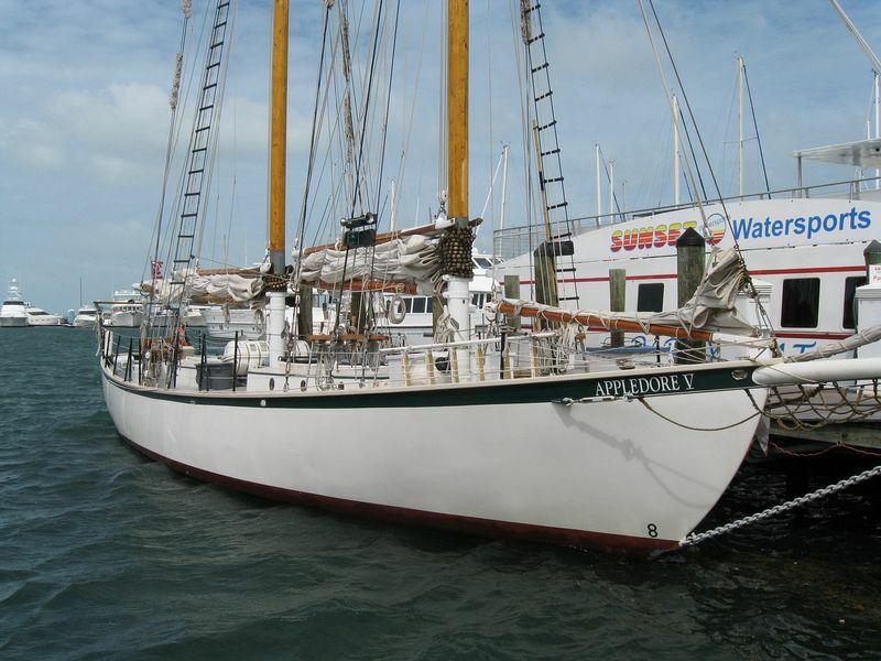 Click to See Next Image