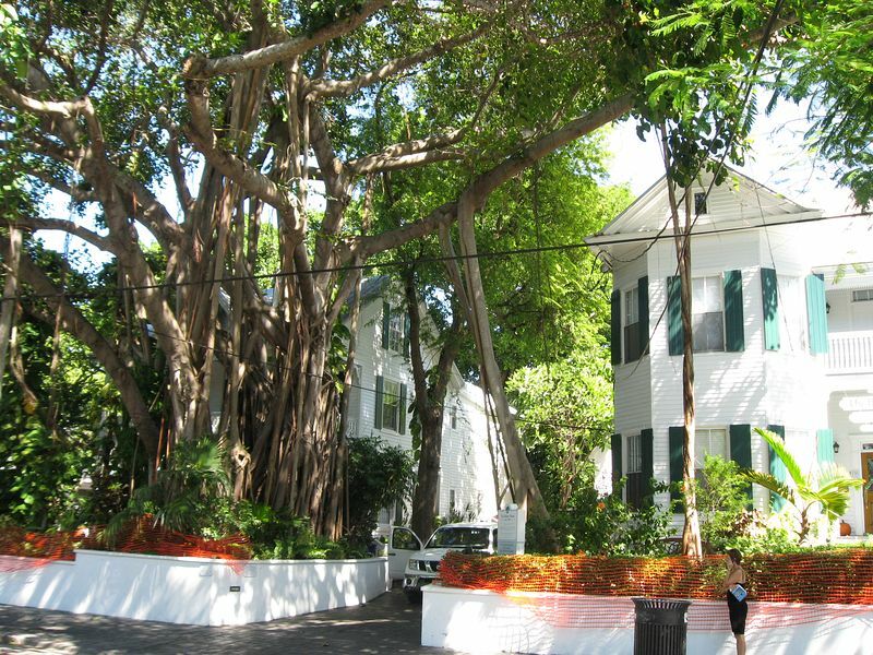 Click to See Next Image