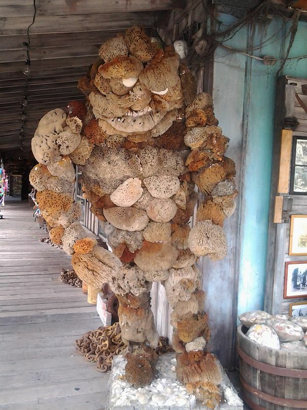 Click to See Next Image