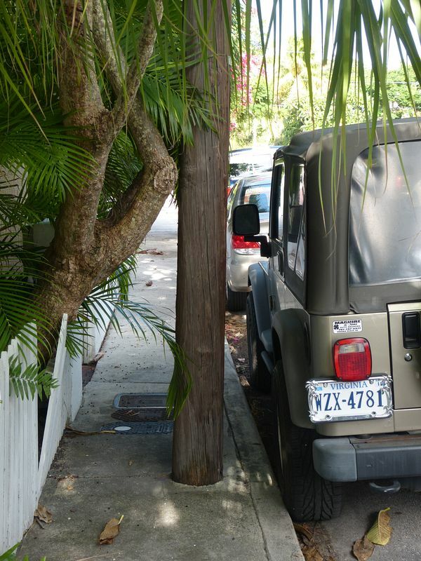 Click to See Next Image