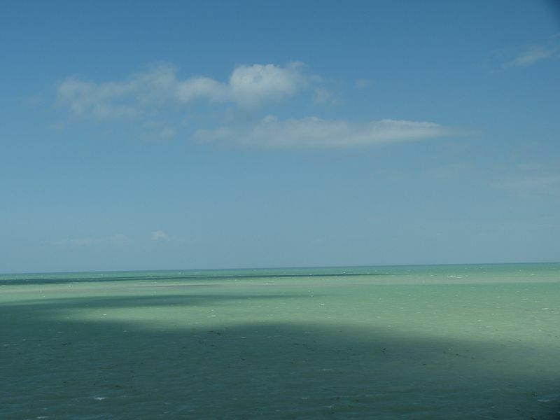 Click to See Next Image