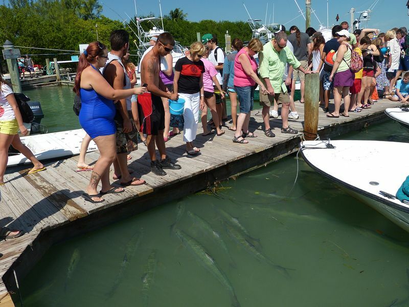 Click to See Next Image