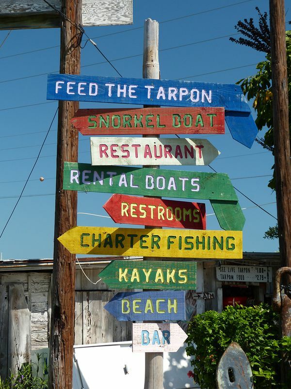 Click to See Next Image