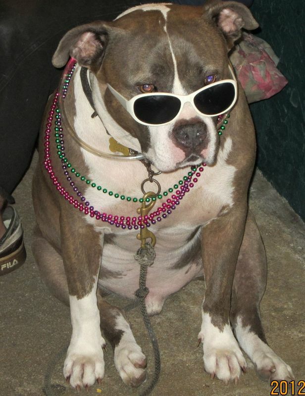 Click to See Next Image