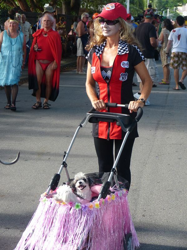 Click to See Next Image