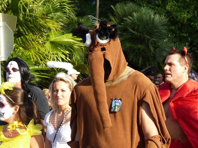 Click to See Next Image